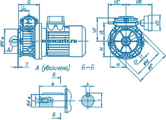 - Motovario TXF